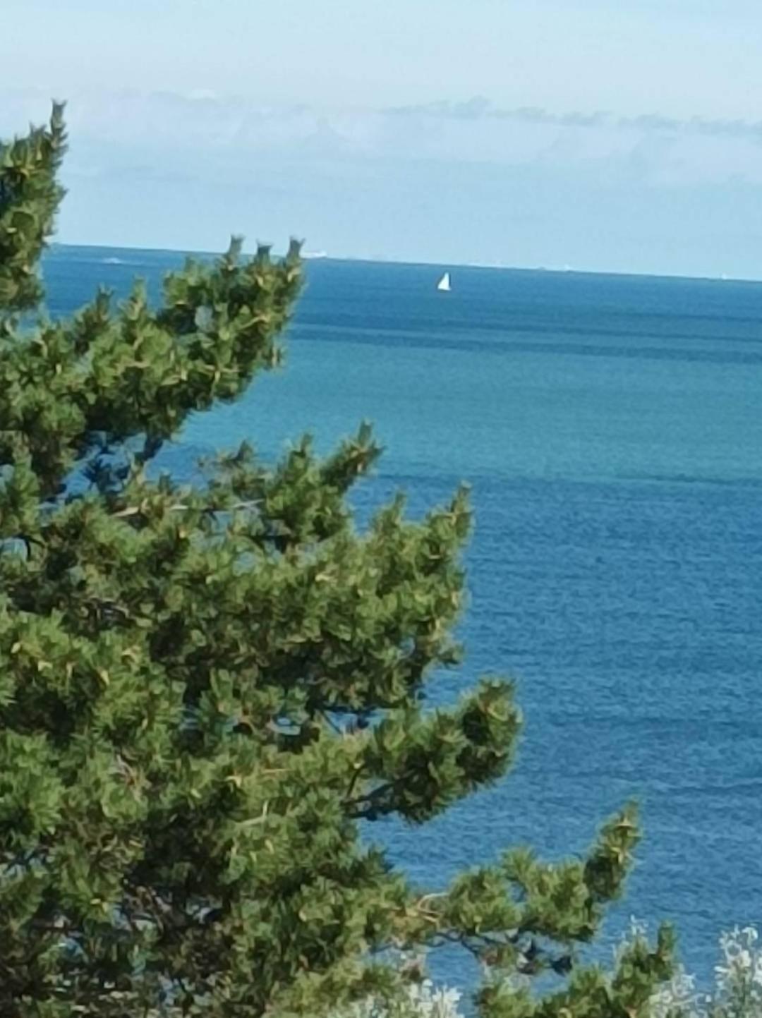 Le Cottage Vue Mer Bénerville-sur-Mer Екстериор снимка